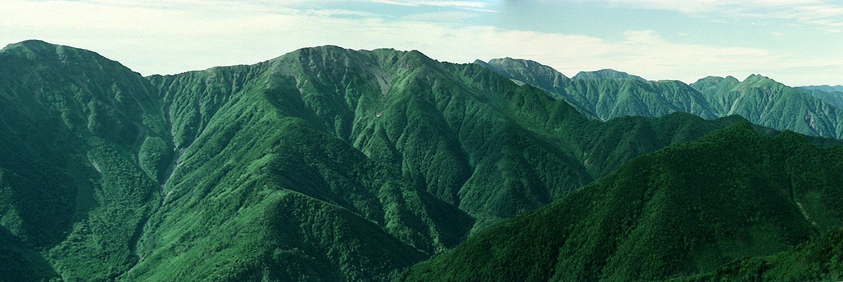 198007-12.jpg