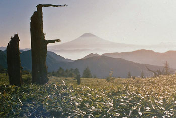 199009-01.jpg