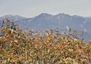 199009-02.jpg