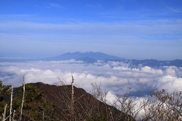 20111113_081209.jpg