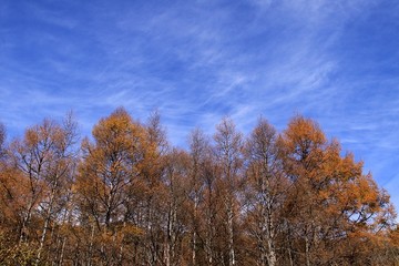 20111113_110028.jpg