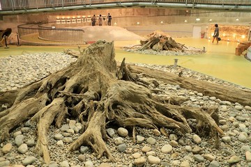 20180422_103027.JPG