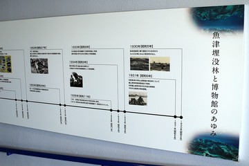 20180422_105315.JPG