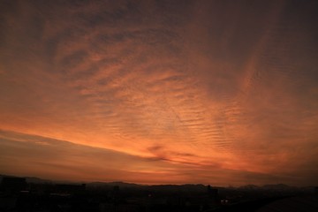 20190810_051647.JPG
