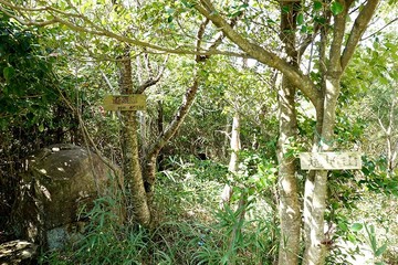 20191005_104844.JPG