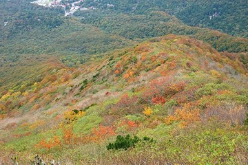 20191021_121007.JPG