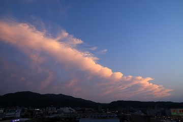 20200628_192823.JPG