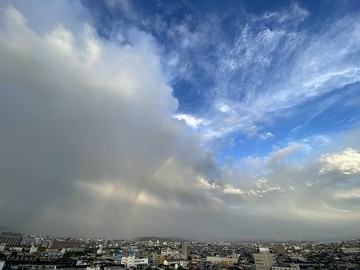 20200810_183010.jpg