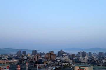20201029_063815.JPG