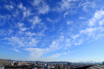 20201202_091153.JPG