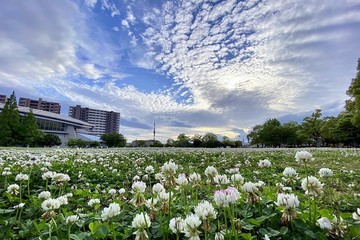20210518_172741.jpg