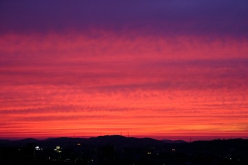 20210611_043753.JPG