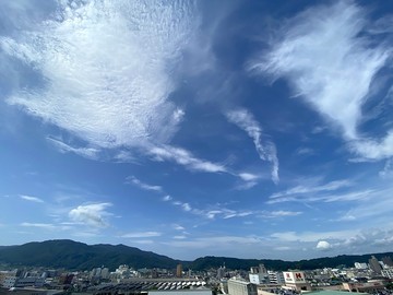 20210825_095910.JPEG