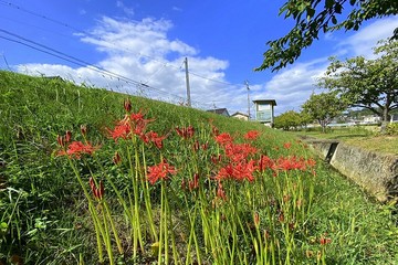 20220920_141459.jpg