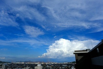 20230803_165250.JPG