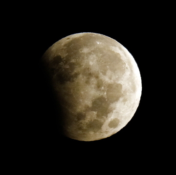 20231029_052843.JPG