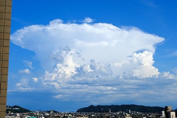 20240825_163945.JPG