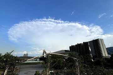 20240825_171047.JPG