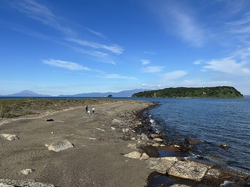 20241124_141915.JPG