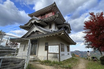 20241201_124721.JPG