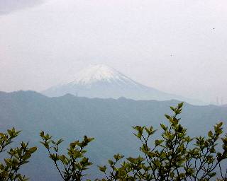 ���V�R����߂�����̕x�m�R