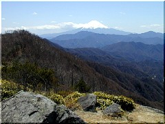 �呠���ۂ���x�m�R��]��