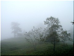 �K�X�ɕ�܂��