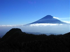 �ߓ����x����̕x�m�R