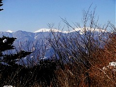 ��A���v�X�̒���