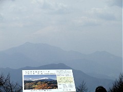 ��R�R���ɂ�