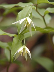 �`�S����