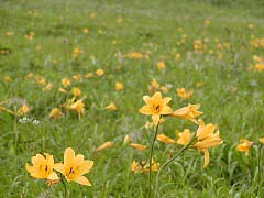 �j�b�R�E�L�X�Q