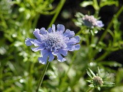 �}�c���V�\�E