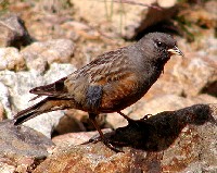 �C���q�o��