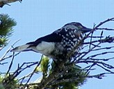 �z�V�K���X