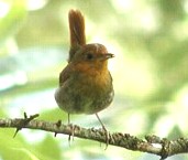 �~�\�T�U�C