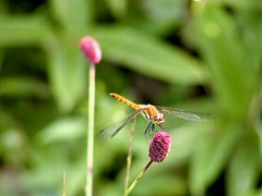 �������R�E