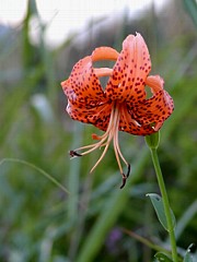 �R�I�j����