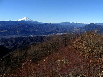 �w�n�R����̓W�]